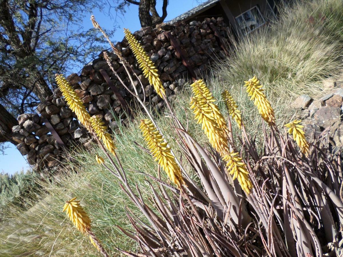 Out Of Nature Country Lodge ウィントフーク エクステリア 写真