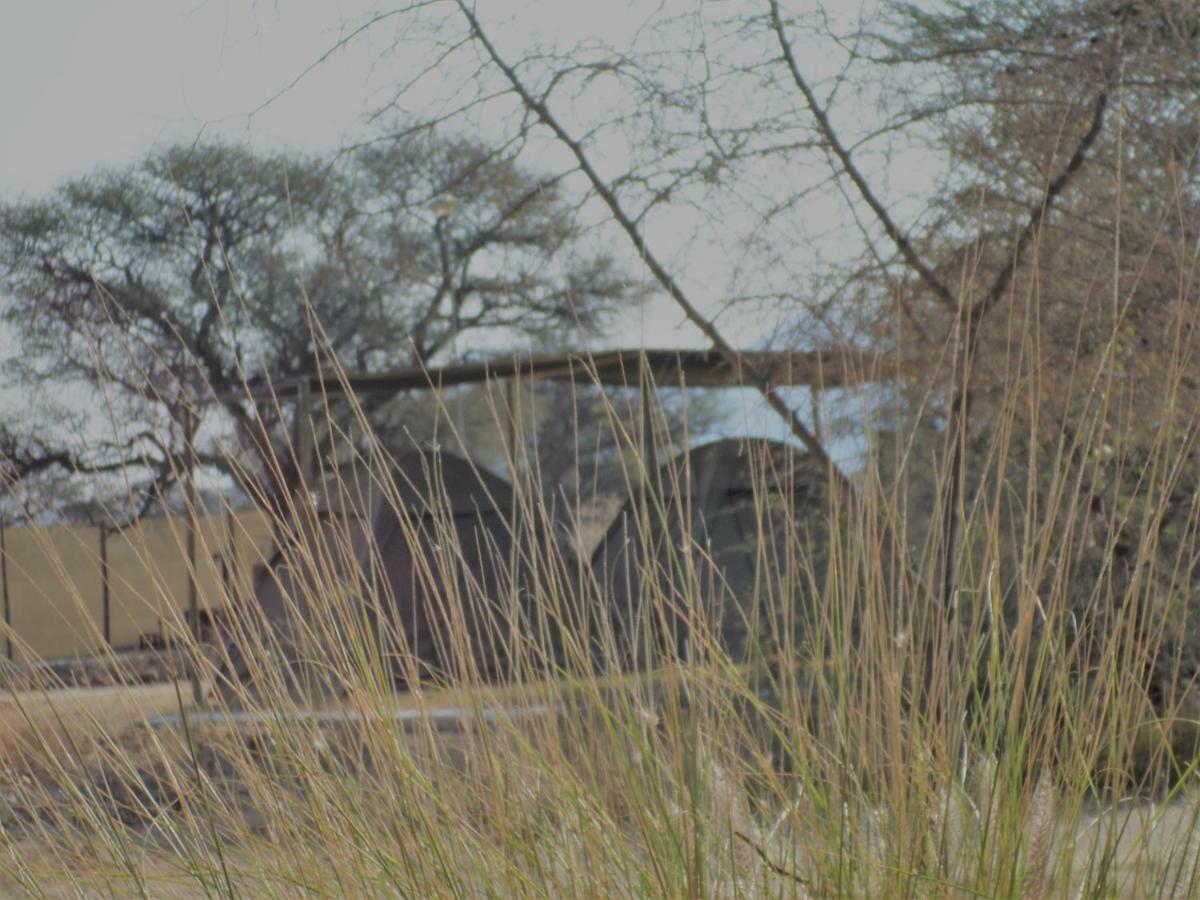 Out Of Nature Country Lodge ウィントフーク エクステリア 写真
